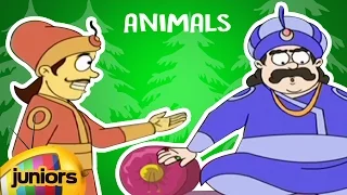 Akbar And Birbal Animated Stories In English For Kids | Animals | Mango Juniors