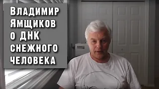 Владимир Ямщиков - ДНК снежного человека.