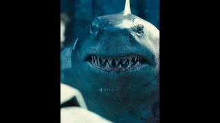 The Suicide Squad fish eating scene