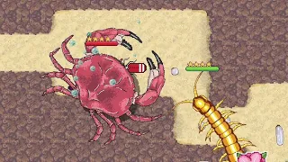 4 Star Crab in Action! [Pocket Ants]