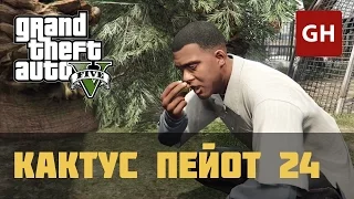 Кактус пейот 24 — GTA 5