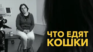 Что едят кошки