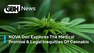 NOVA Doc Explores The Medical Promise & Legal Inequities Of Cannabis