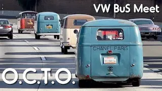 OCTO VW BUS MEET 2023 Long Beach CA over 350 buses