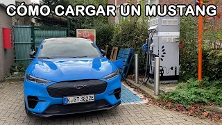 Todo lo que necesitas saber sobre la carga del MUSTANG MACH E | carga lenta, rápida y ultra-rápida