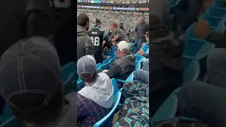 Football Fans Fight at Panthers Game