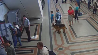 Из банкомата на вокзале в Омске украли деньги