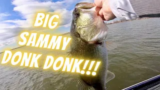 Sam Rayburn Prespawn Bass Fishing: Searching Dirty Water and Grass For Big Texas Bass!!! So Dirty!