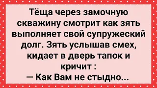 Теща Смотрит Как Зять Выполняет Свой Супружеский Долг! Сборник Свежих Анекдотов! Юмор!