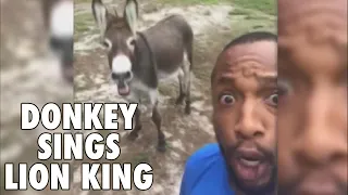 Donkey Sings Lion King Theme Along With Minister