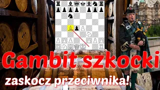 SZACHY 356# Gambit szkocki dobry debiut szachowy na zaskoczenie. Partia szkocka, pułapki szachowe