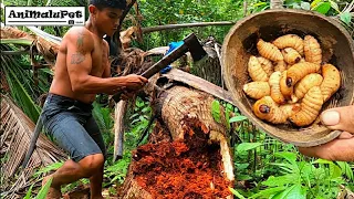 Coconut Worms | Uok or Batud | Catch & Cook | Best Pulutan