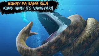 Nalaman na ng mga sayantipiko kung bakit Nag EXTINCT o nawala ang MEGALODON AT TITANOBOA !