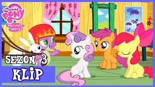 Spike Podrzuca Zwierzęnta Lidze | My Little Pony | Sezon 3 | Odcinek 11|Tylko dla Pomocników|FULL HD