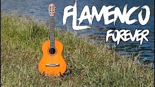 FLAMENCO FOREVER - music documentary