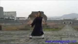 Wudang Taiji 108 - Part 3 - Master Yuan Xiu Gang (武当太极108式 - 第3段 - 袁修刚)