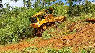 Forest Specialist !!! D6R XL Bulldozer Operator's Expertise When Clearing Palm Oil Plantations