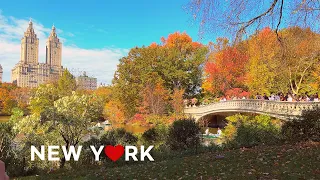 [4K]🇺🇸NYC Autumn Walk🍂🍁:Enjoy the fall foliage in Central Park on a sunny Saturday🍂🍁Oct. 28, 2023