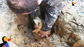Dog Trapped Underground Rescued Just in Time | The Dodo