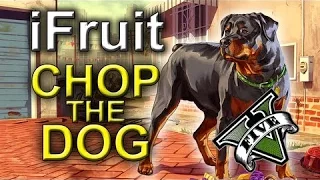 GTA5 | Chop the Dog