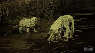 Out of the Ashes: Dawn of the Age of Mammals | HHMI BioInteractive Video