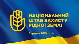 Юлія Тимошенко на першому засіданні Національного штабу захисту рідної землі