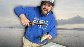 Crappie Fishing Dewey Lake! (Catch and Cook)