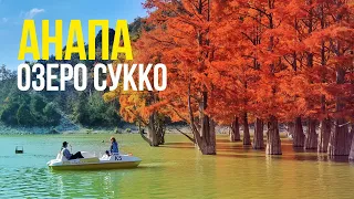 #АНАПА - КИПАРИСОВОЕ ОЗЕРО в СУККО - ЗАПРЕТ и ШТРАФЫ. ВИД СВЕРХУ. ЦЕНЫ КАК НА МОРЕ! ОКТЯБРЬ 2021