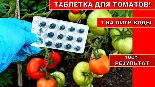 ПОМИДОРЫ НАЛИВАЮТСЯ НА ГЛАЗАХ! ТАБЛЕТКА ОРГАНИКИ ИЗ АПТЕКИ ДЛЯ ТОМАТОВ! СУПЕР ПОДКОРМКА РАСТЕНИЙ