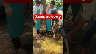 Rumenotomy l dr Umar Khan