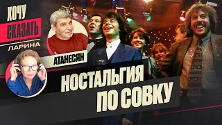 🚫Атанесян: "Нельзя УМИЛЯТЬСЯ СОВЕТСКОМУ ПЕРИОДУ нашей истории" / Хочу Сказать. Ларина