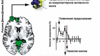 Нейробиология принятия решений  Детерминизм  Иллюзия свободы воли