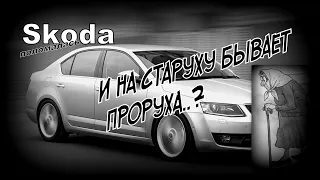 Skoda: Поломка и Ошибки Которые Нельзя Стереть!?