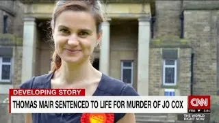 Thomas Mair sentenced to life for murder of MP Jo Cox