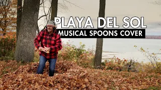 Dad musical spoon cover -  Playa Del Sol