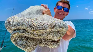 Netting & Eating THOUSANDS of Bait Fish- Catch Clean Cook (Florida Bay Anchovy)