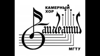 Концерт камерного хора"Gaudeamus" МГТУ им. Н.Э. Баумана 21 декабря 2019 года