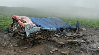 Best Nepali Mountain Village Life During The Rainy Season | Shepherd Life Nepal | Compilation Video
