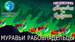 Муравьи рабовладельцы Kurzgesagt на русском | Русская озвучка (Анонс)