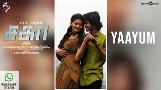 Sagaa Songs | Yaayum Whatsapp Status | Saran, Ayra | Shabir Sulthan | Murugesh