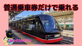 リゾート21・黒船電車乗車記(熱海～伊豆急下田)