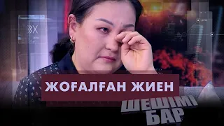 Шешімі бар: Жоғалған жиен табыла ма?