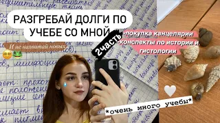 👩🏻‍🎓STUDY WITH ME| Закрываю долги, 2часть| учись со мной, мотивация на учебу| биофак 🐸🔫