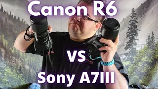Canon R6 vs. Sony A7III: Mirrorless Camera Showdown!