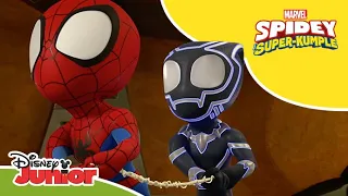 ⚡️ Porażający wróg! | Spidey i Super-Kumple | Disney Junior Polska