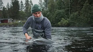 The Wild Ones - Fly Fishing For Baltic Salmon