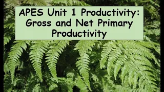 APES Unit 1 Productivity Video