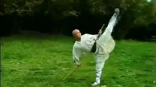 Shaolin Kung Fu: 36-move staff