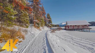 4K Jasper National Park, Canada - Winter Walking Tour through Forest with Nature Sounds - Part #2