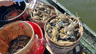 Western Shore Of Maryland - Trotline Crabbing In November
